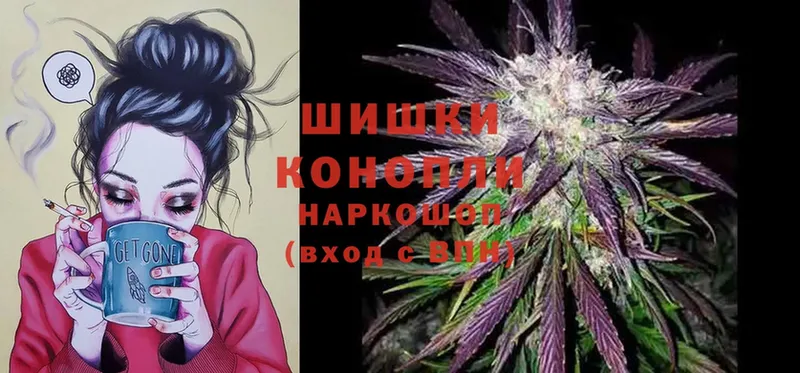 Бошки Шишки SATIVA & INDICA  где найти наркотики  Карабаново 